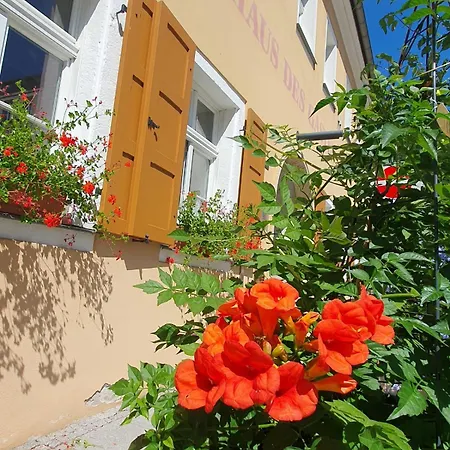 Am Springbrunnen * Bad Schandau